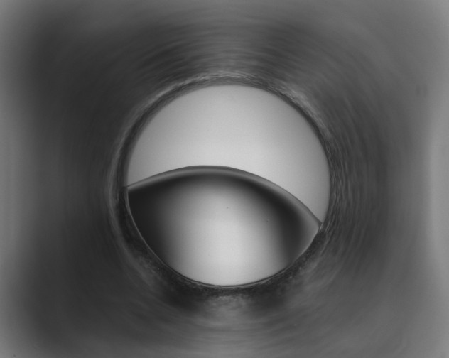 X0000089970536200706291106