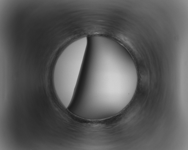 X0000089970539200706291106