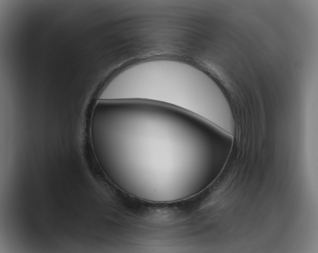 X0000089970540200706291106