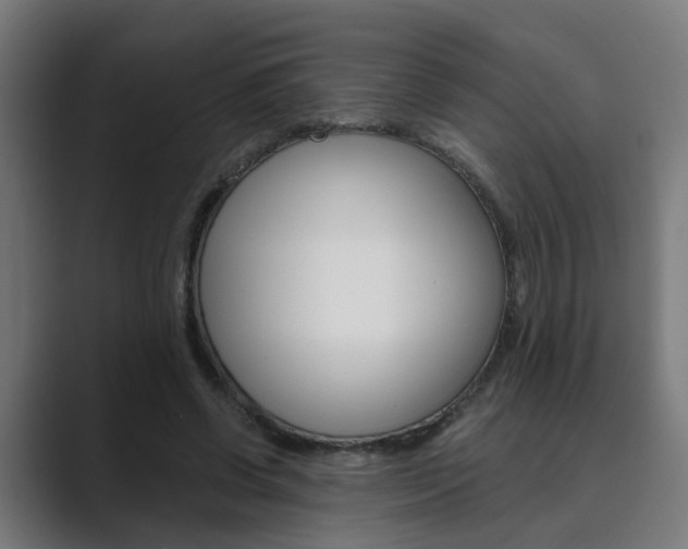 X0000089970542200706291106