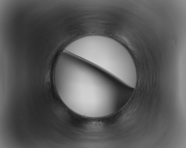 X0000089970543200706291106