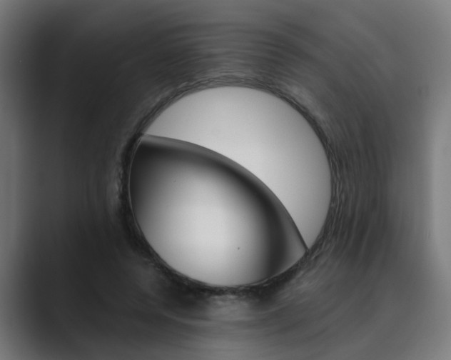 X0000089970544200706291106