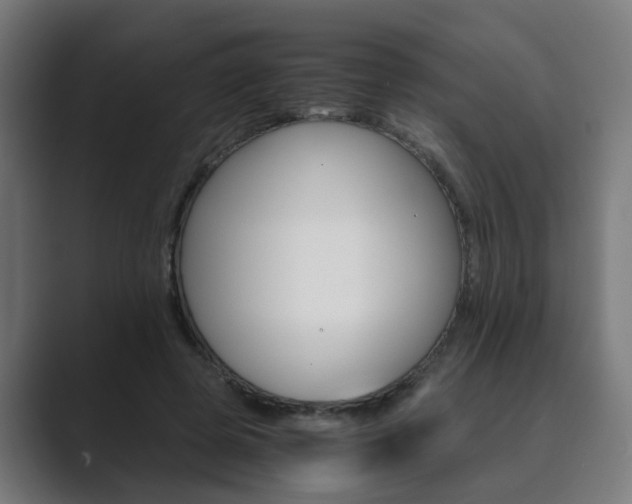 X0000089970545200706291106