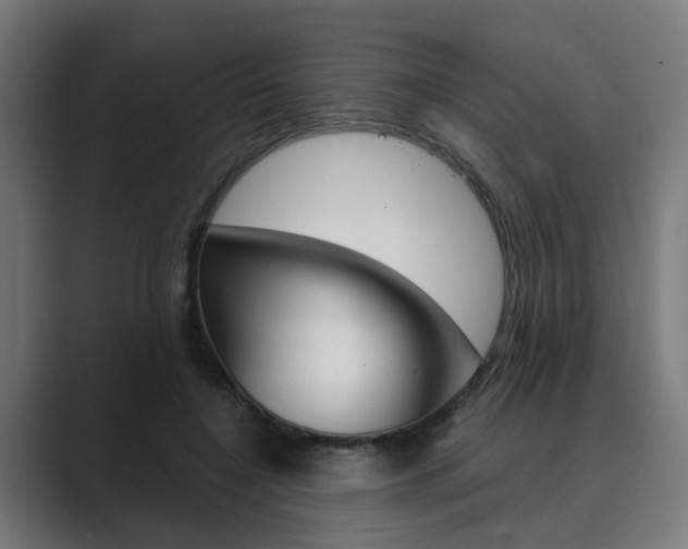 X0000089970548200706291106