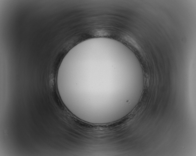 X0000089970549200706291106