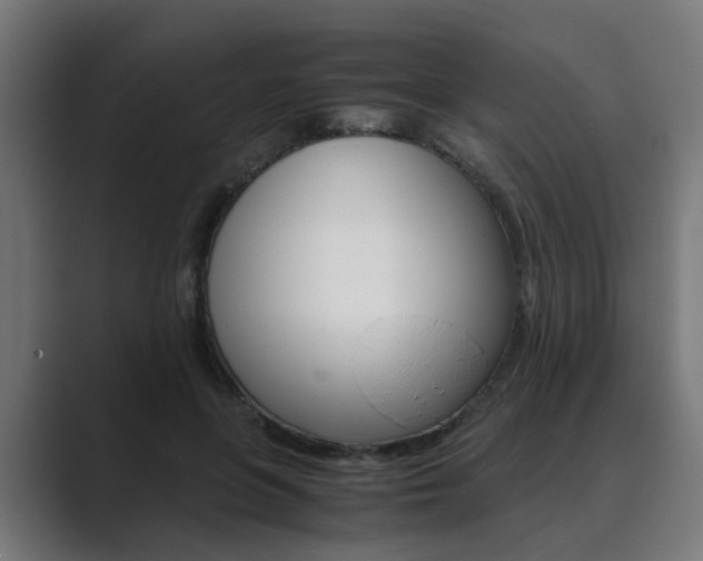 X0000089970551200706291106