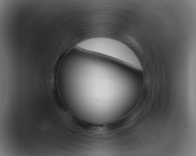 X0000089970552200706291106