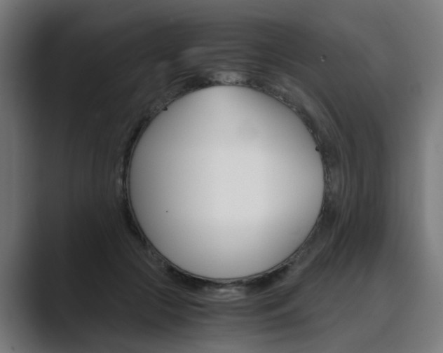 X0000089970553200706291106