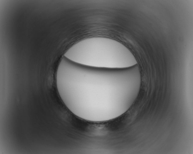X0000089970554200706291106