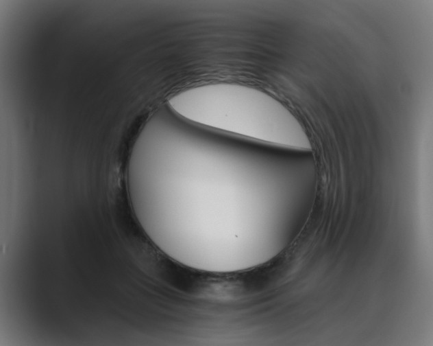 X0000089970555200706291106
