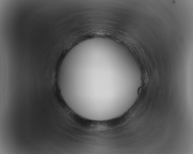 X0000089970559200706291106