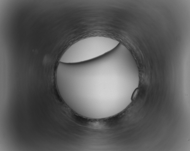 X0000089970561200706291106