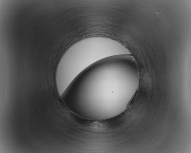 X0000089970562200706291106
