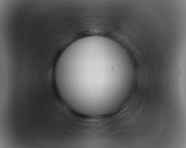 X0000089970563200706291106