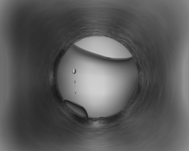 X0000089970564200706291106