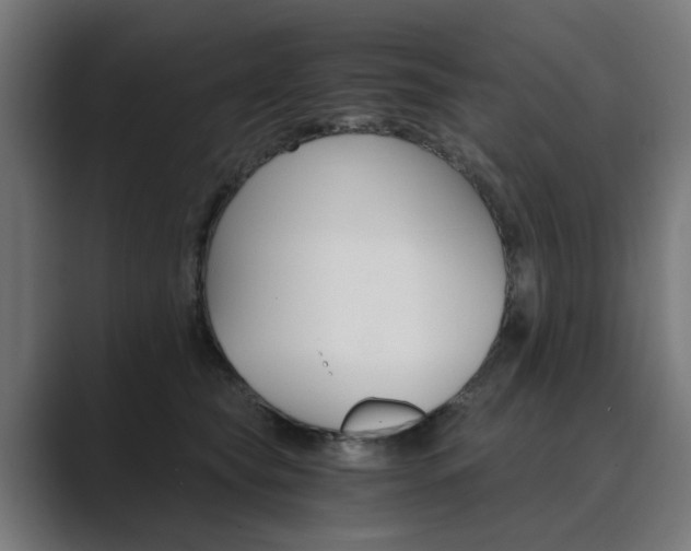 X0000089970565200706291106