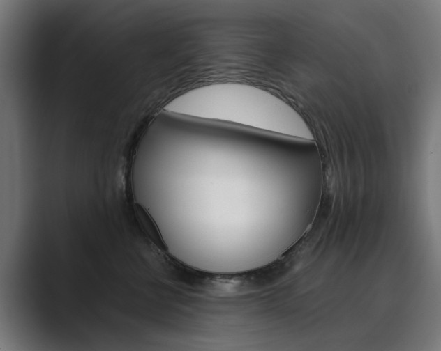 X0000089970570200706291106