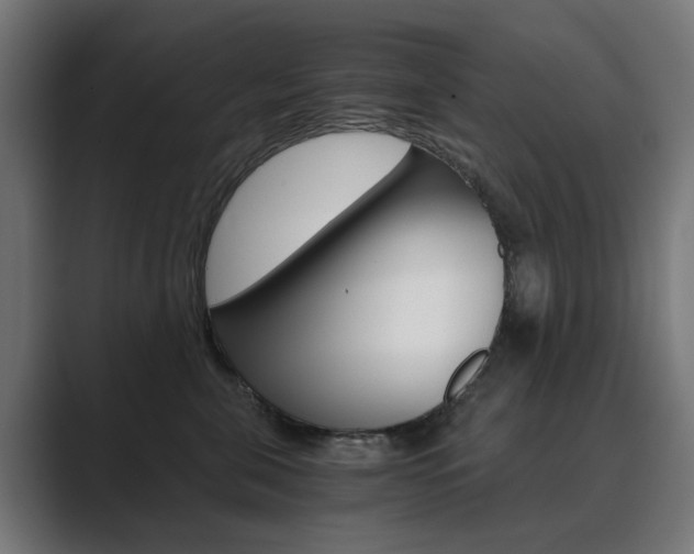 X0000089970571200706291106