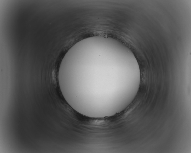 X0000089970575200706291107