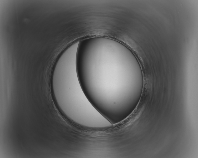 X0000089970577200706291106