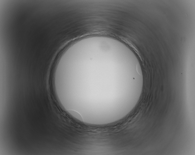 X0000089970579200706291106