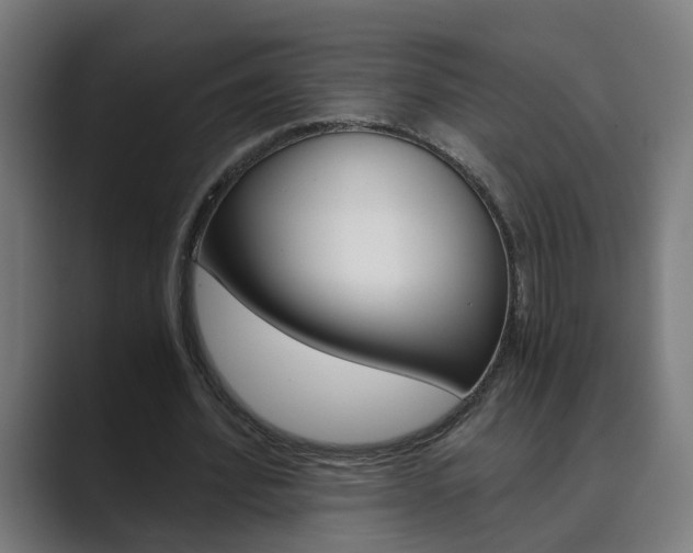 X0000089970580200706291106