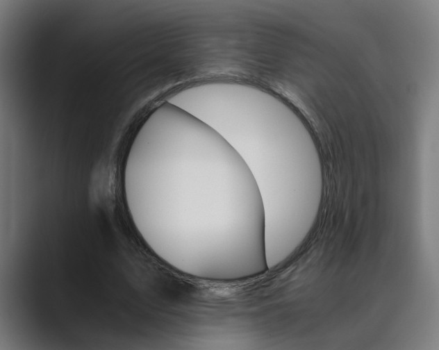 X0000089970583200706291106