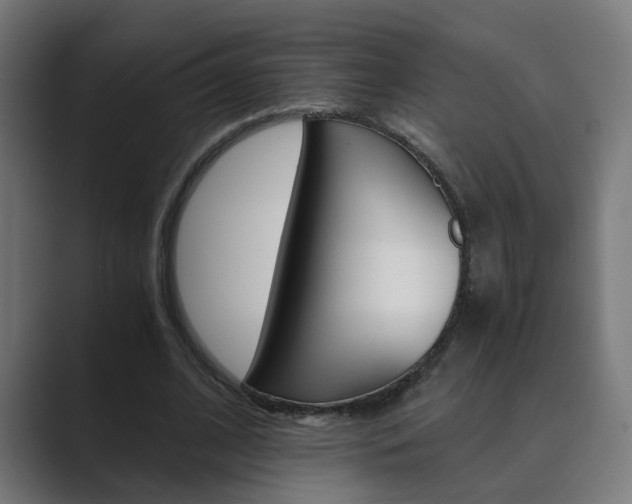 X0000089970584200706291106