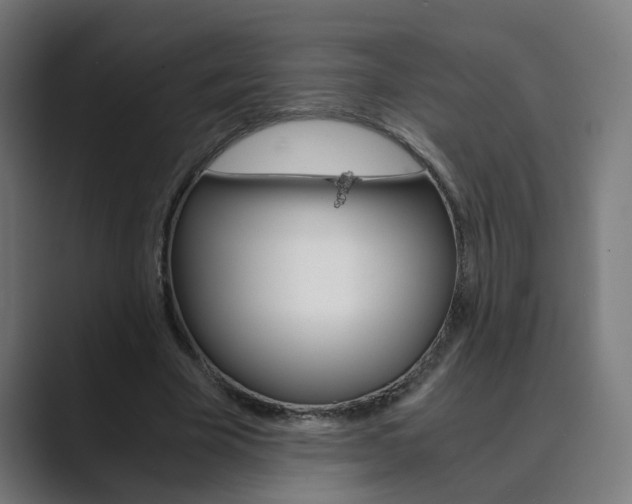 X0000089970585200706291106