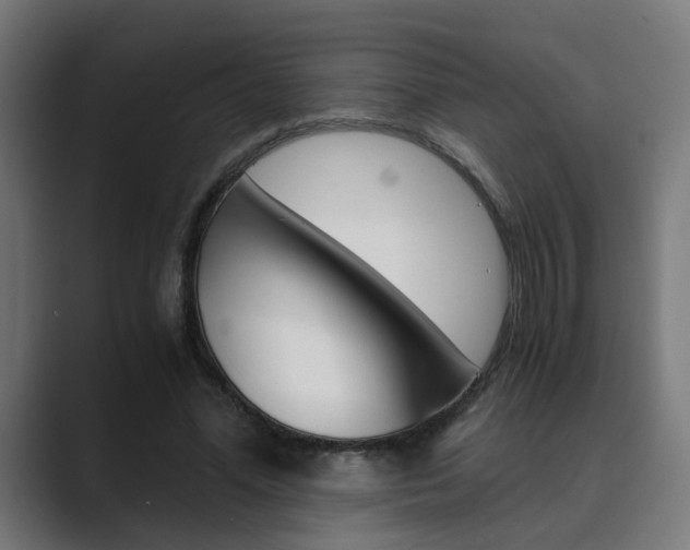 X0000089970588200706291106