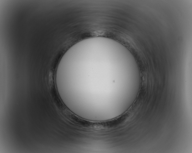 X0000089970598200706291106