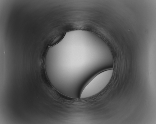 X0000089970601200706291106