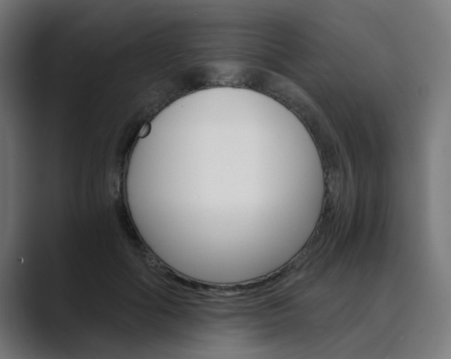 X0000089970602200706291106