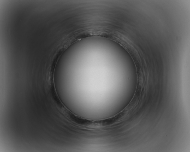 X0000089970604200706291106