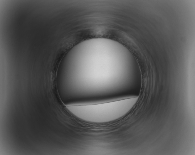 X0000089970605200706291106