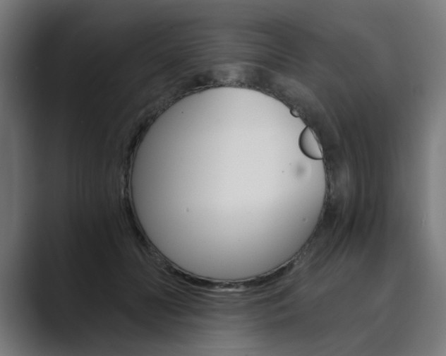 X0000089970606200706291106