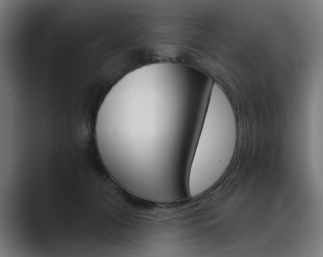 X0000089970608200706291106