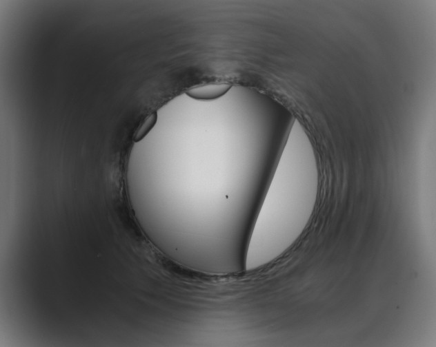 X0000089970609200706291106