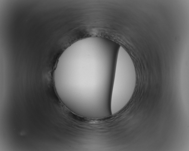 X0000089970611200706291106