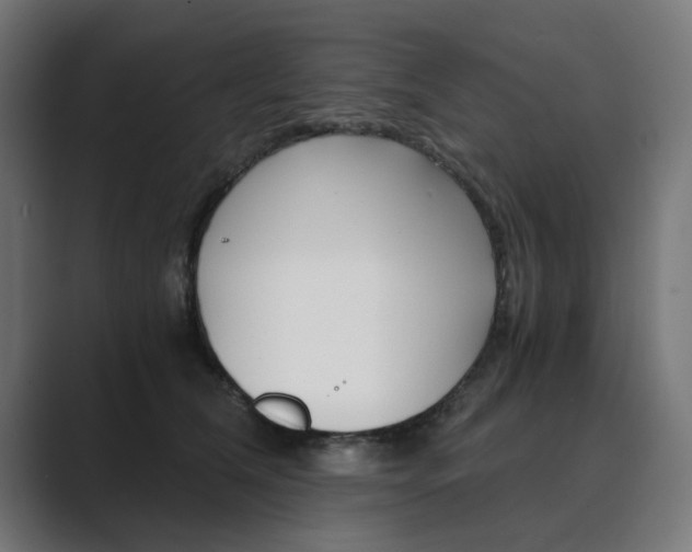 X0000089970612200706291106