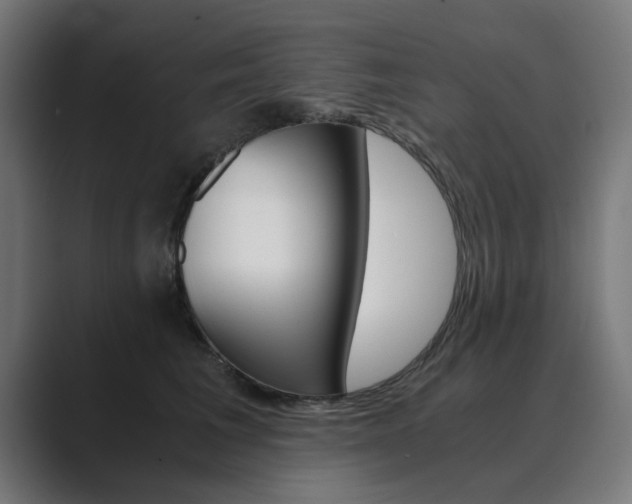 X0000089970613200706291106