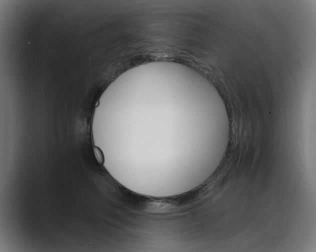 X0000089970614200706291106