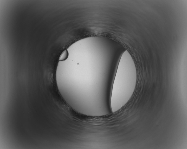 X0000089970615200706291106