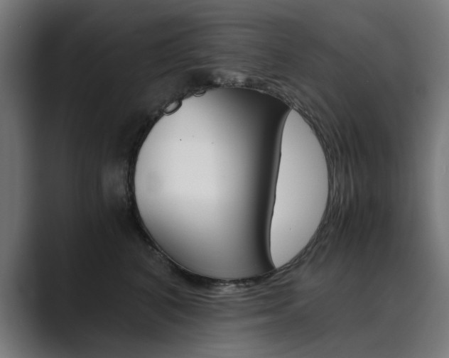 X0000089970616200706291106