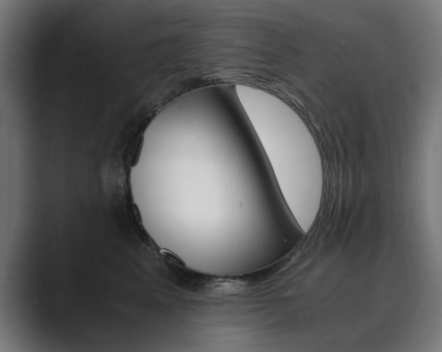 X0000089970617200706291105