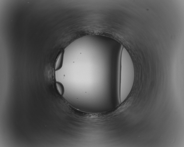 X0000089970624200706291105