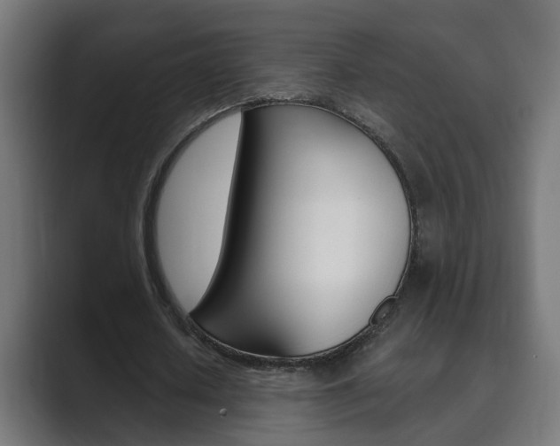X0000089970626200706291105