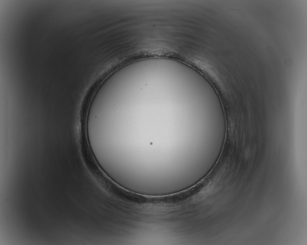 X0000089970630200706291105