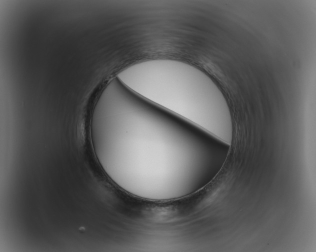 X0000089970638200706291105