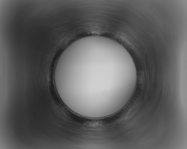 X0000089970639200706291105